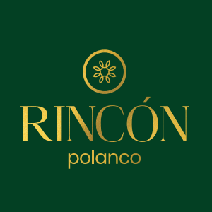 Rincón Polanco, Departamentos de Lujo en Rincón del Bosque #47