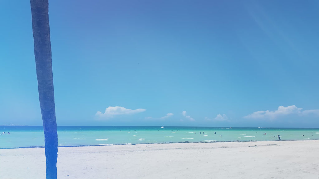 Ciudad Central Progreso, Terrenos en Comunidad Planeada